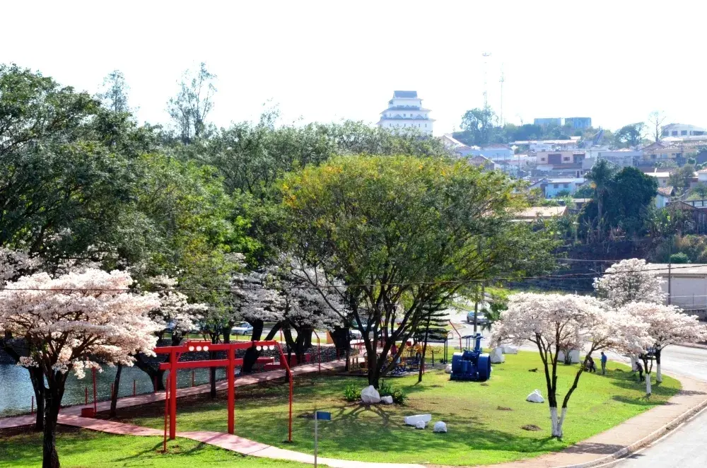 Vista da cidade de Assaí, Paraná